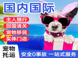 博乐阿拉山口机场快运国际宠物托运 【国